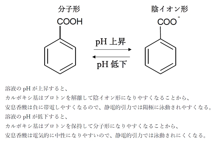 電気泳動 安息香酸はpH7では陽極方向に泳動される 87回問29d